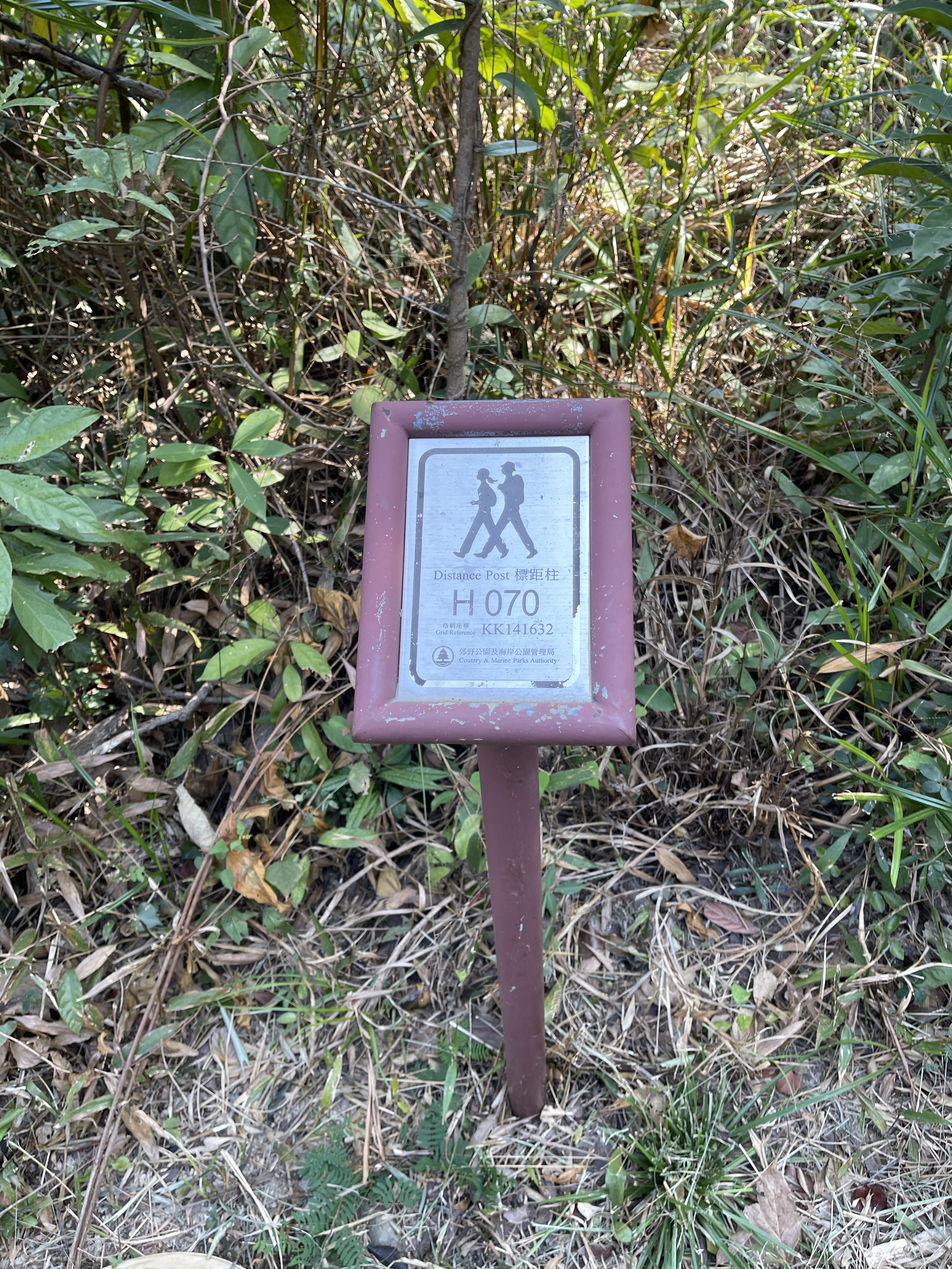 Hong Kong Hiking Lover