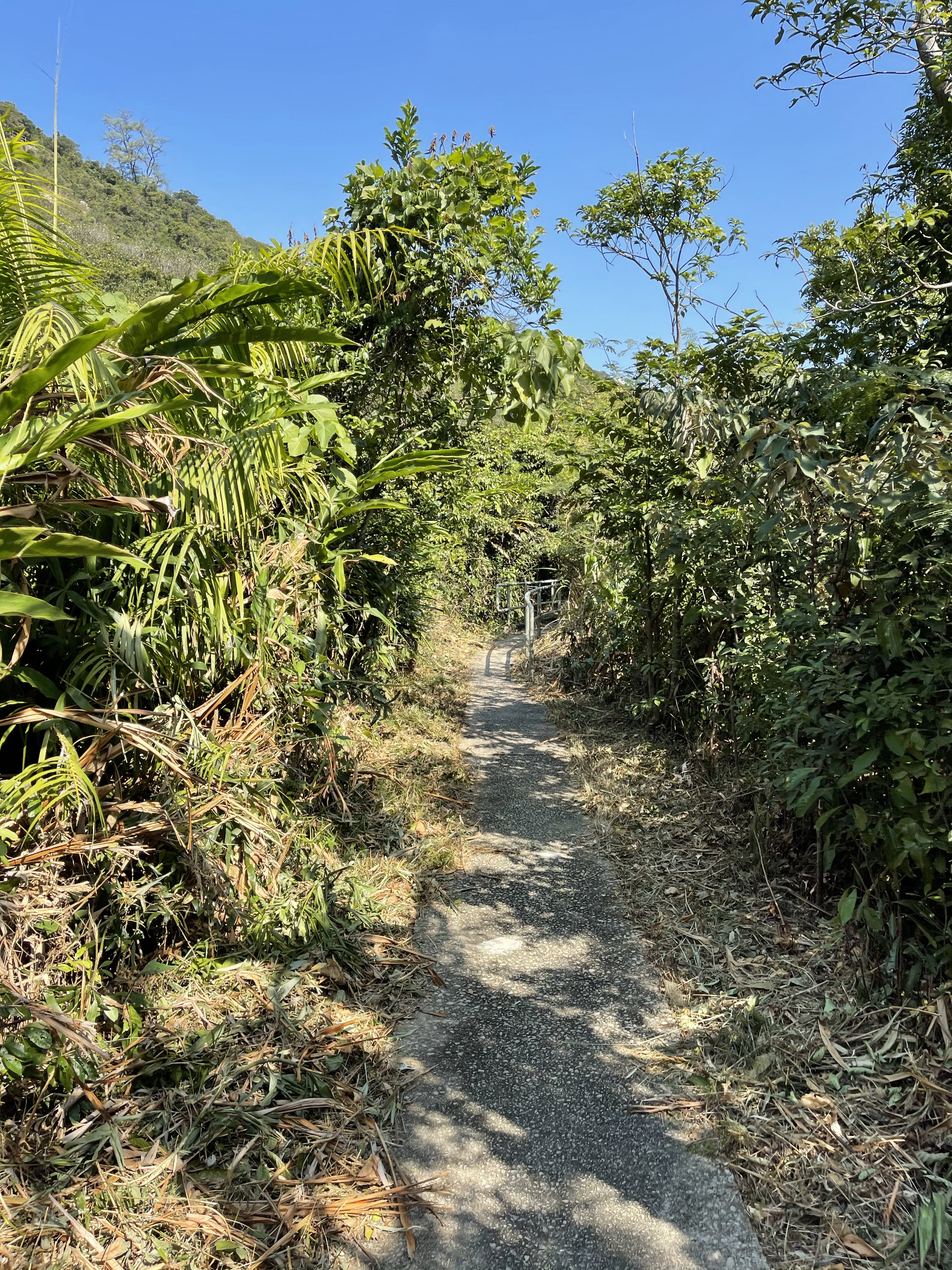 Hong Kong Hiking Lover