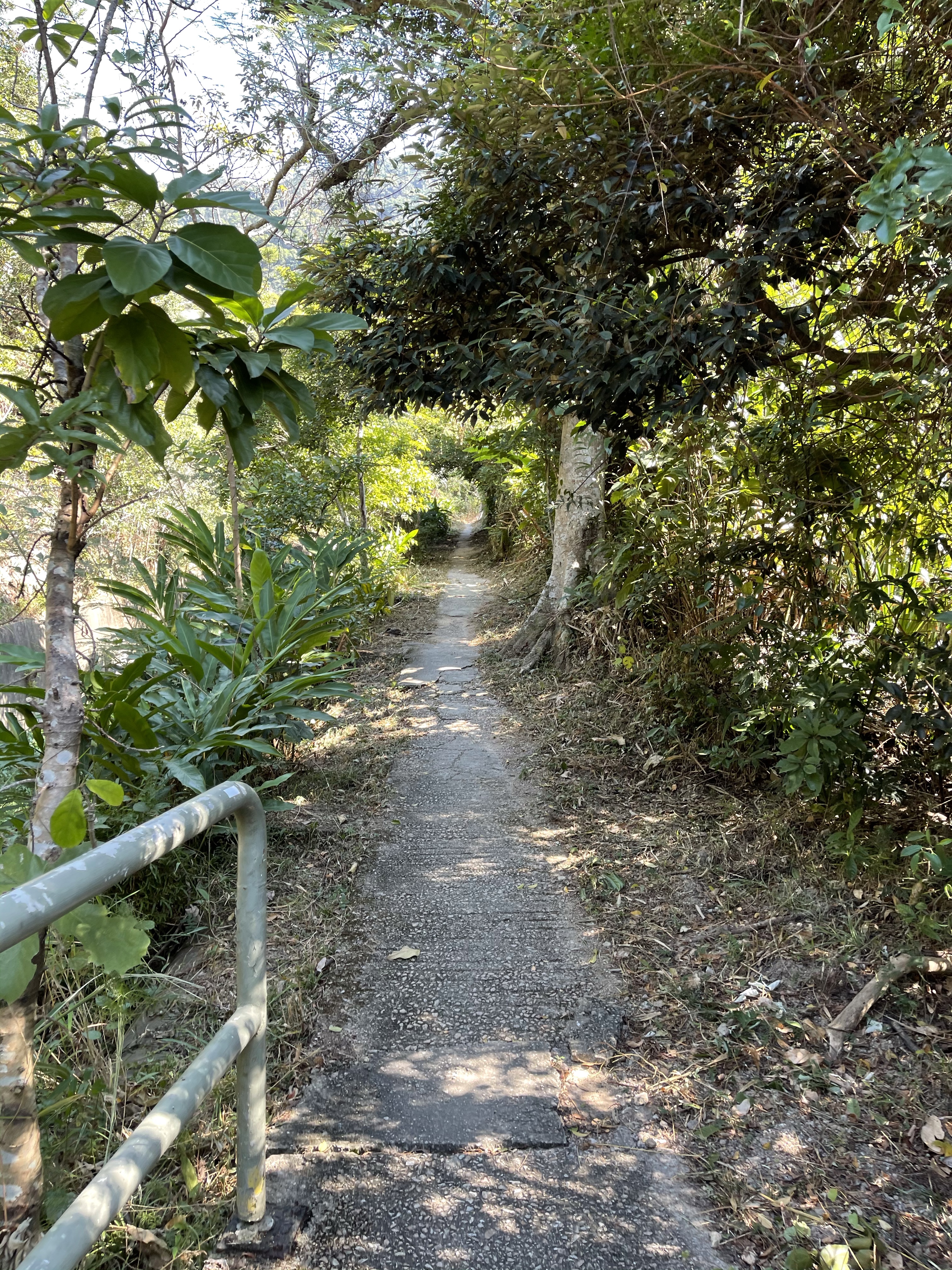 Hong Kong Hiking Lover