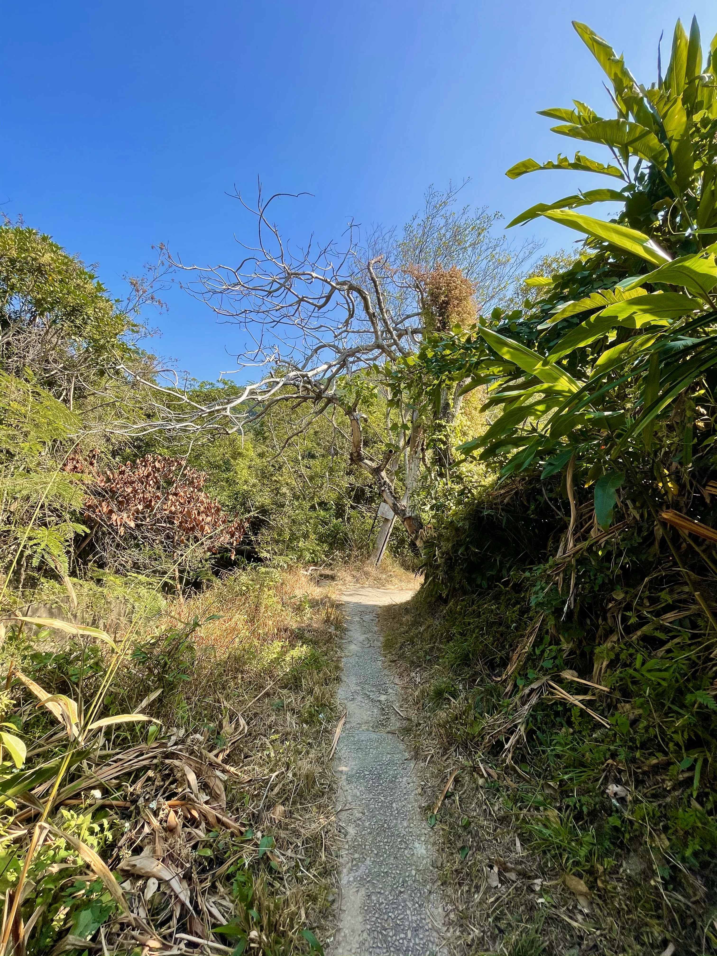 Hong Kong Hiking Lover