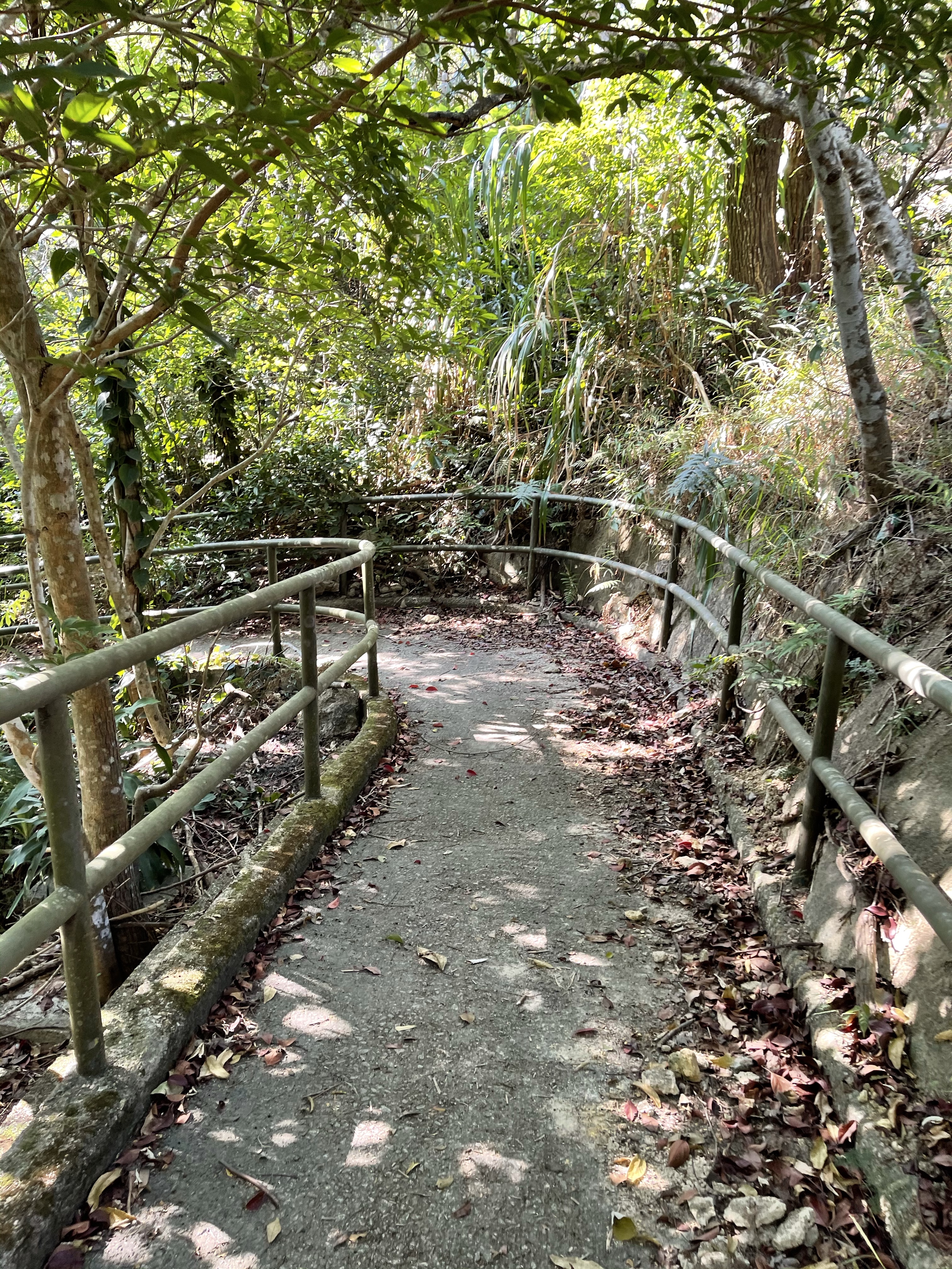Hong Kong Hiking Lover