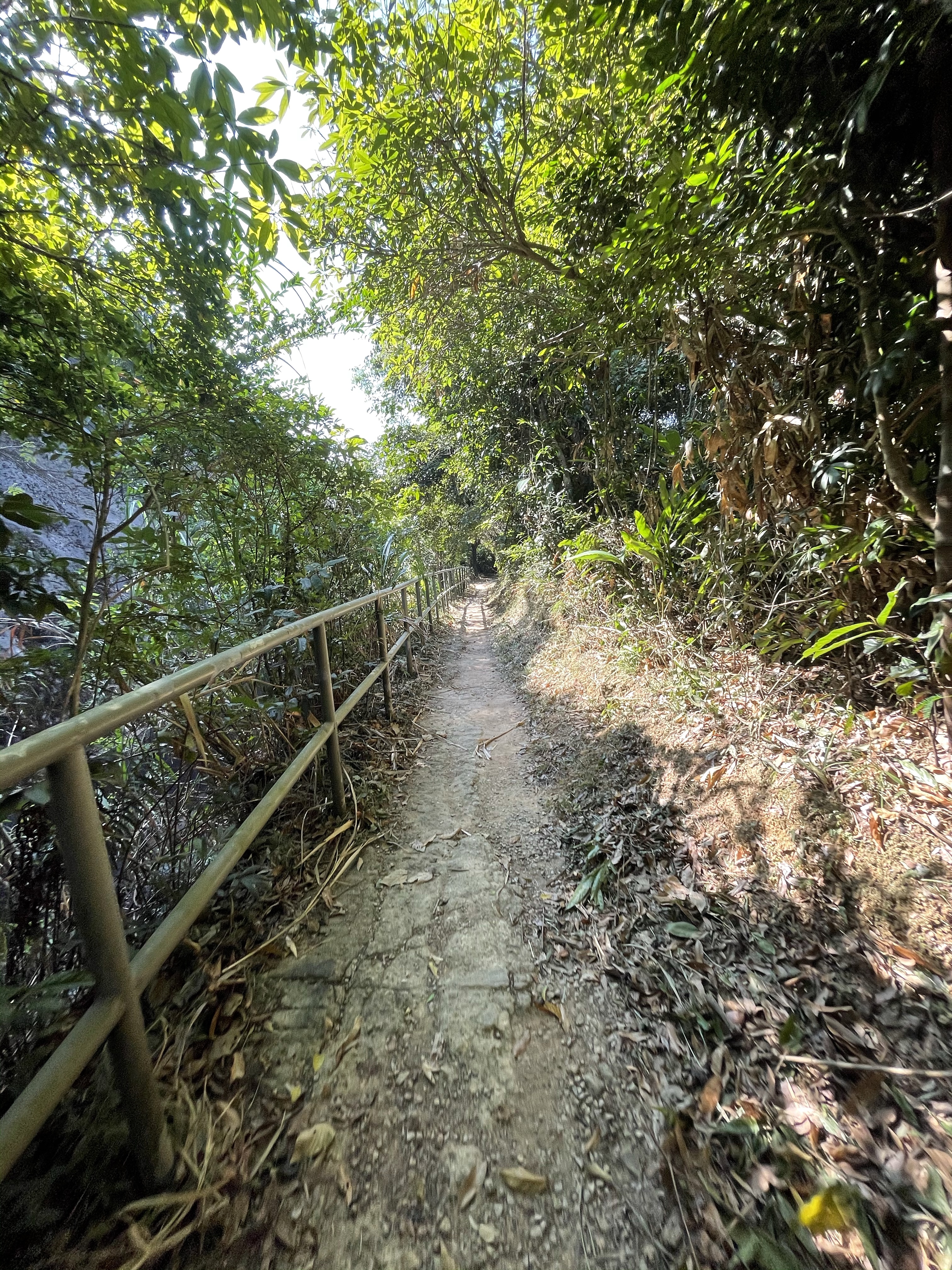 Hong Kong Hiking Lover