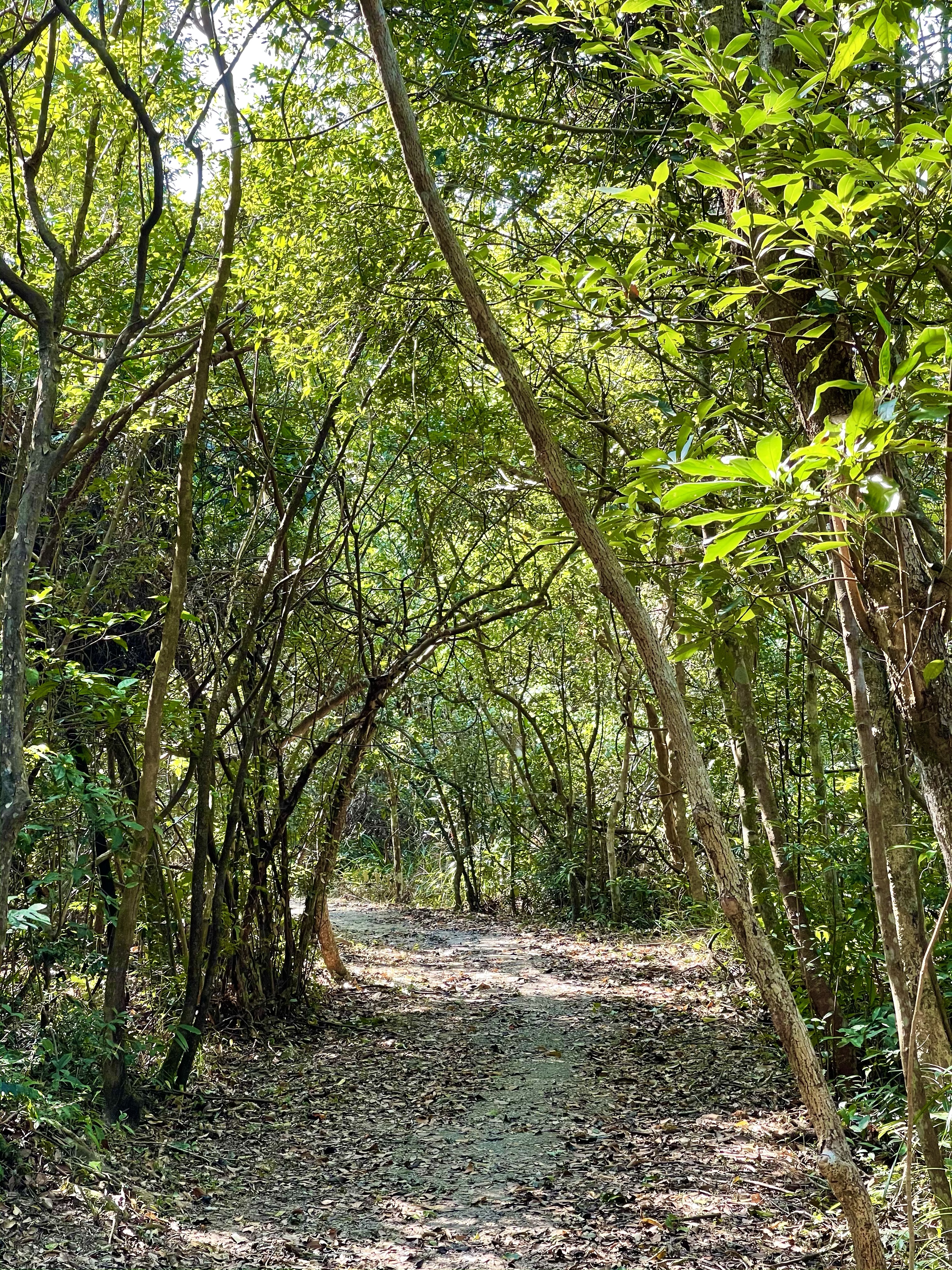 Hong Kong Hiking Lover