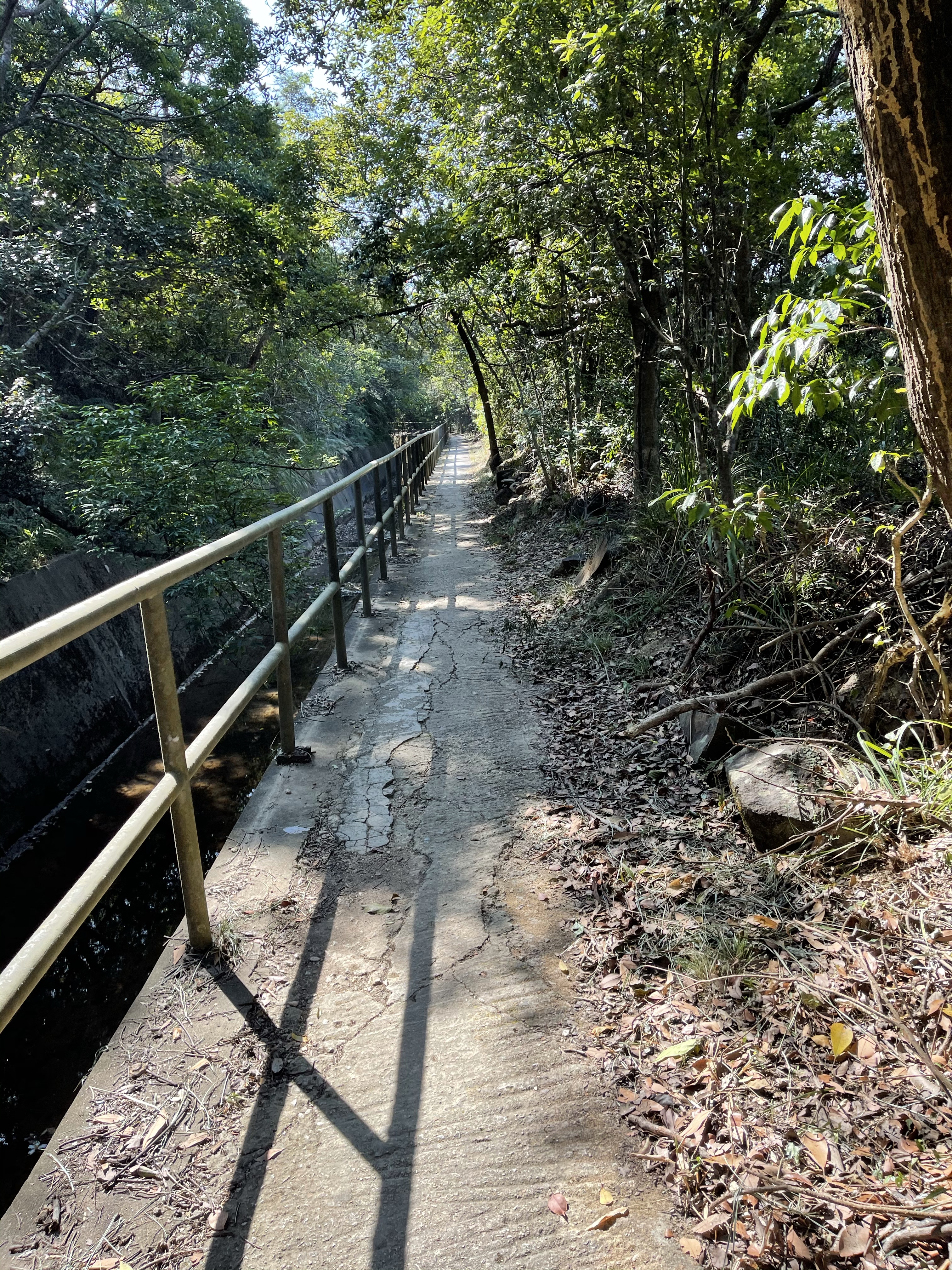 Hong Kong Hiking Lover
