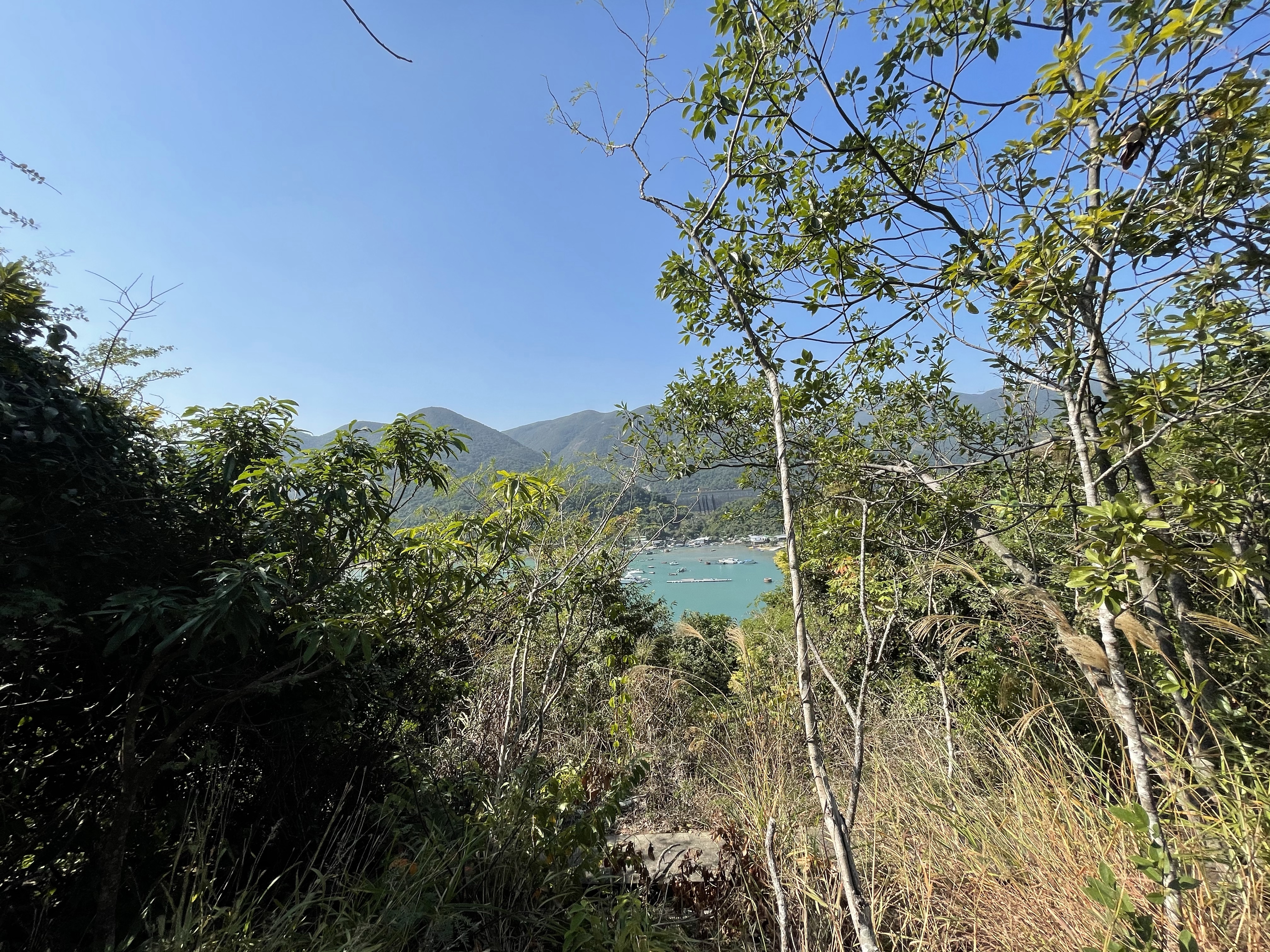 Hong Kong Hiking Lover