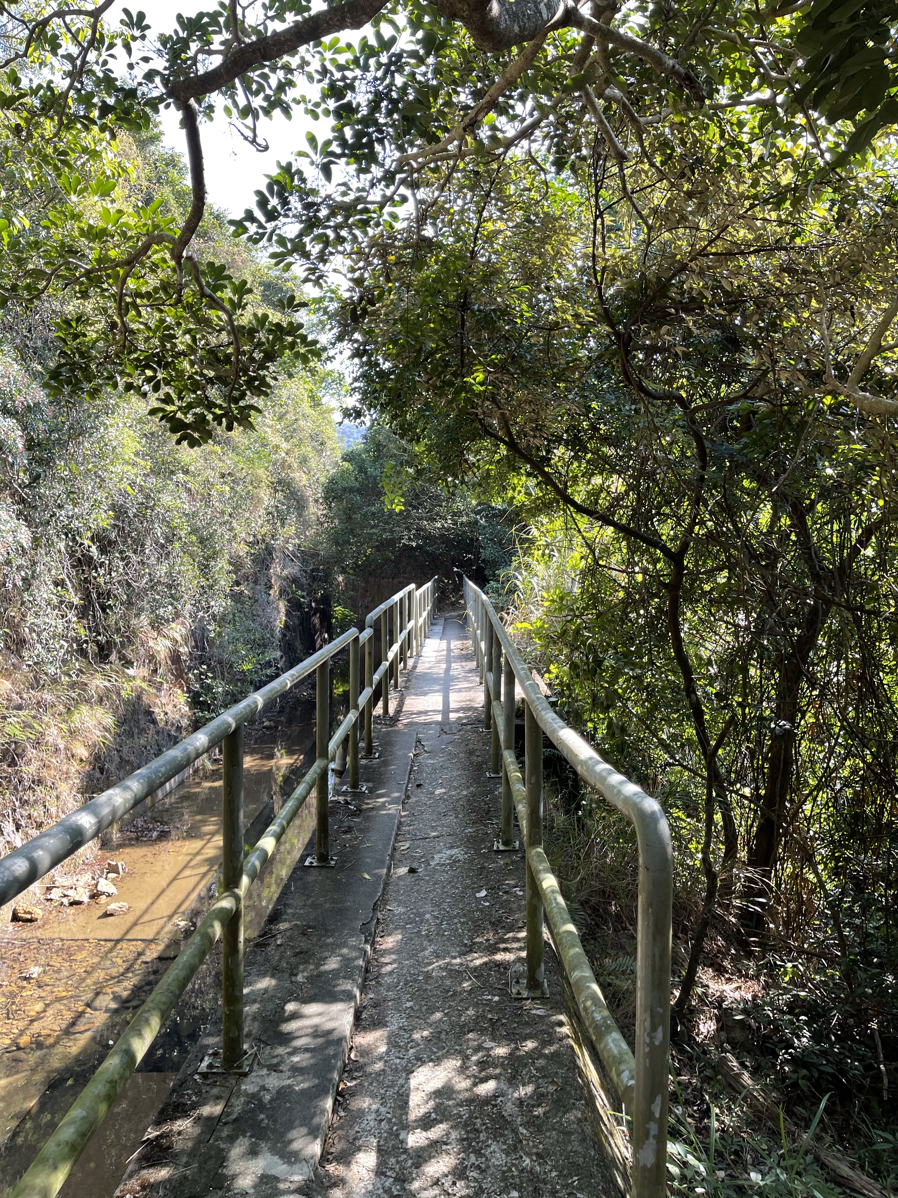 Hong Kong Hiking Lover