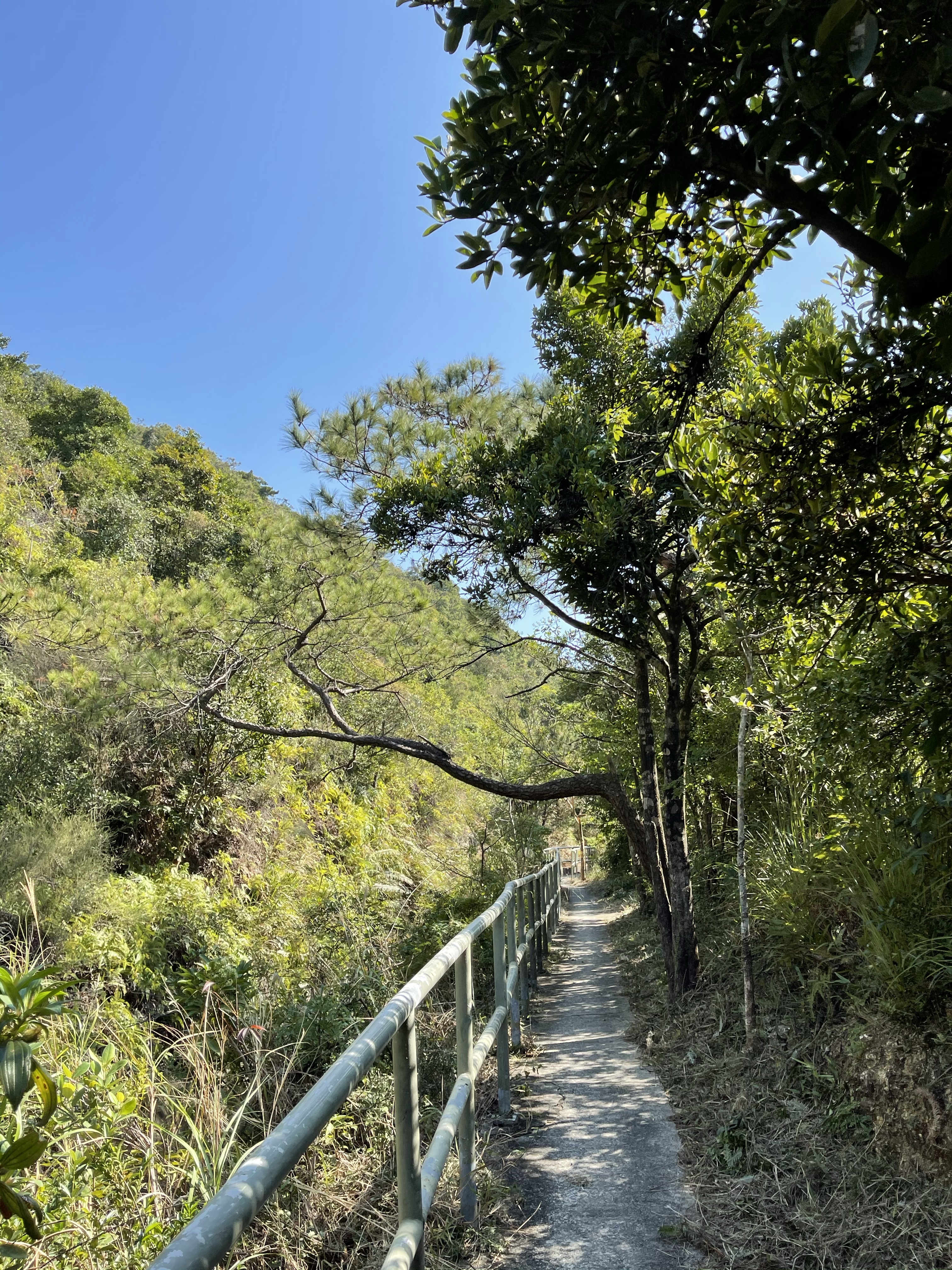 Hong Kong Hiking Lover