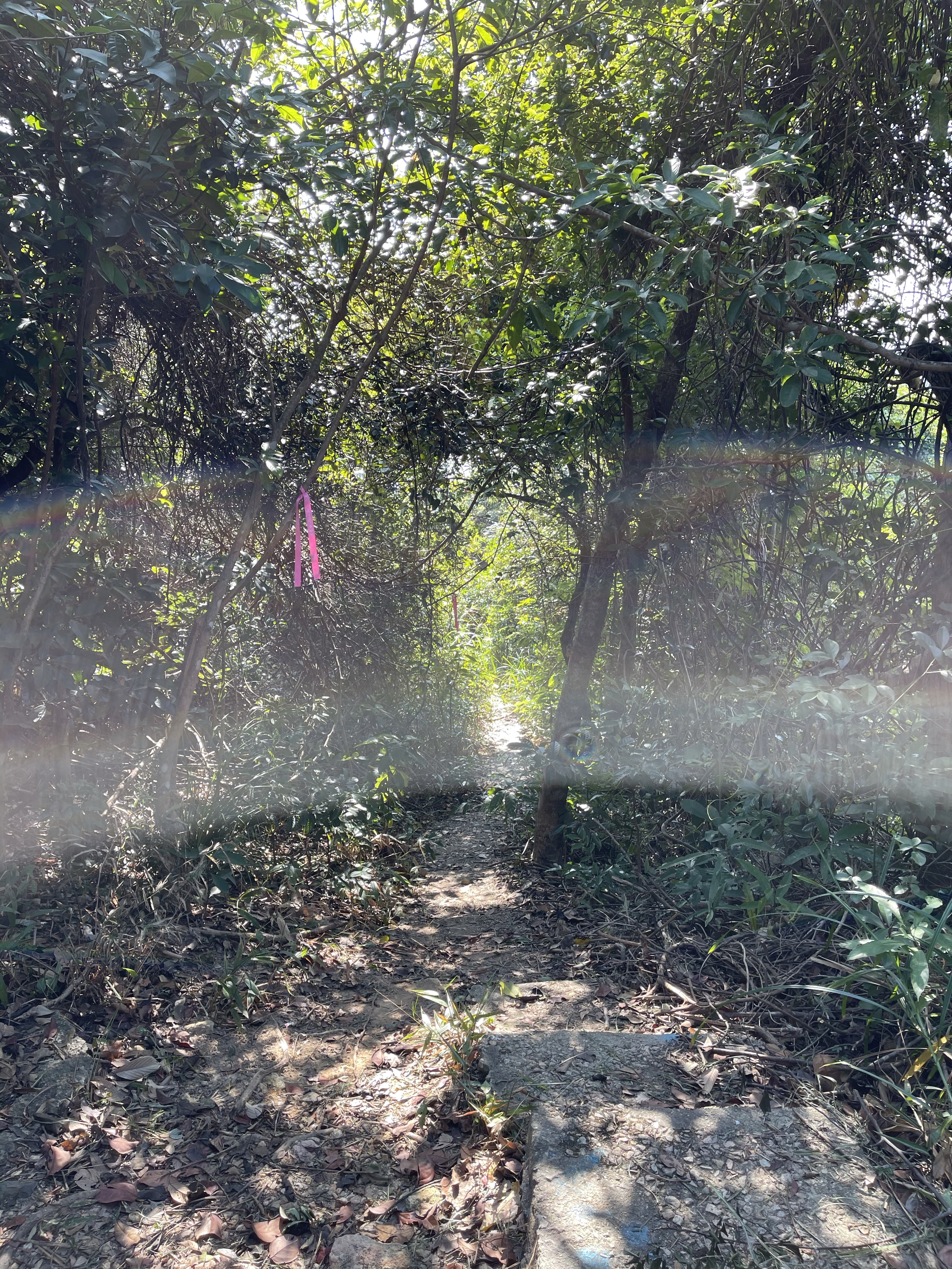 Hong Kong Hiking Lover