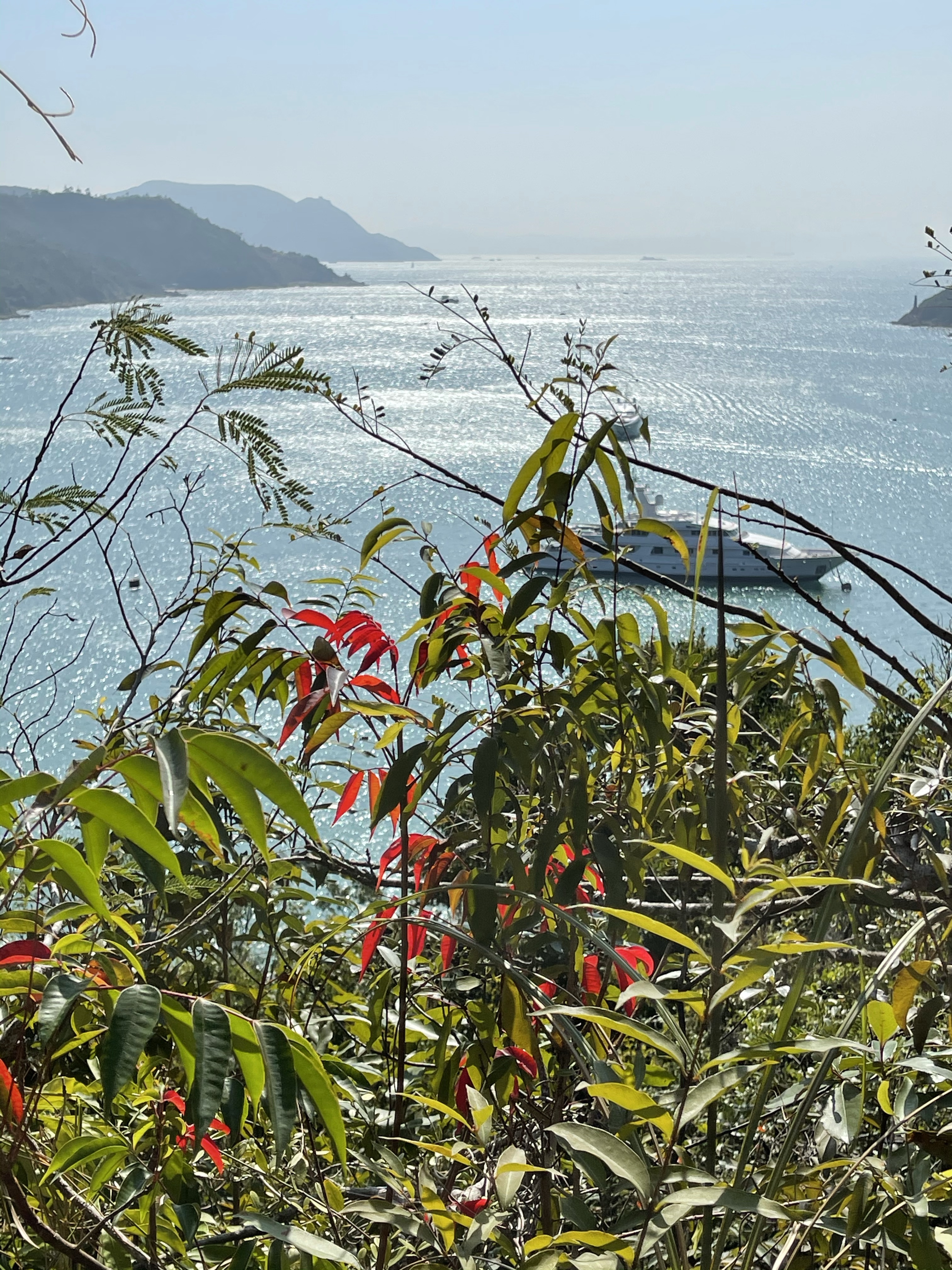 Hong Kong Hiking Lover