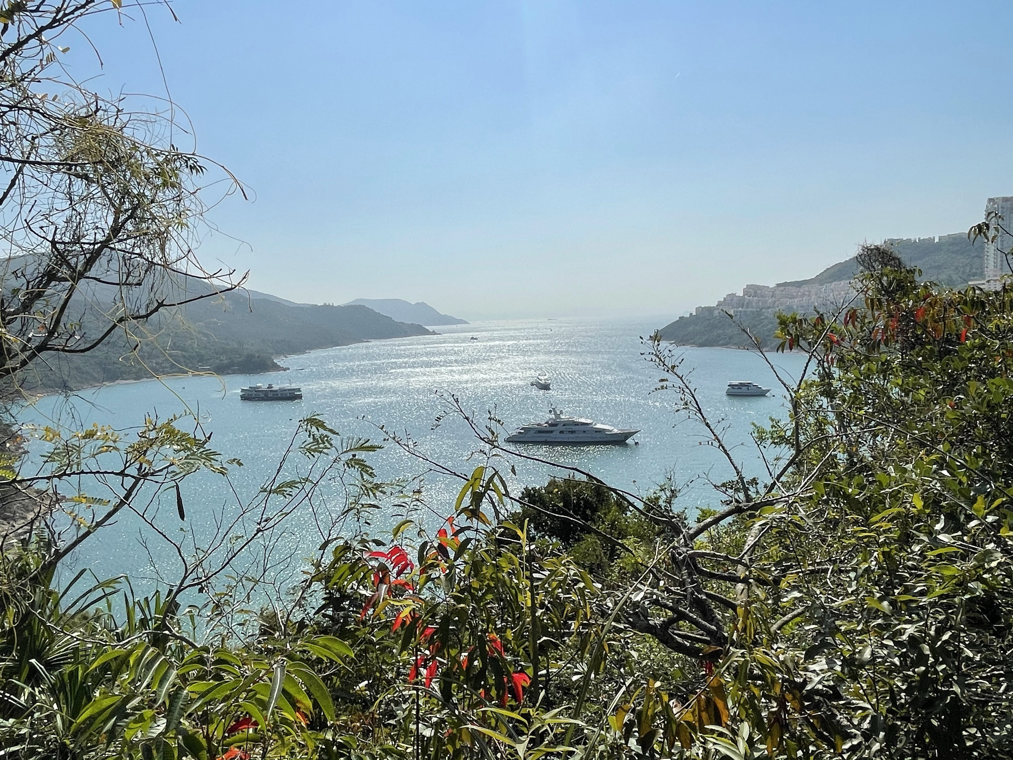 Hong Kong Hiking Lover