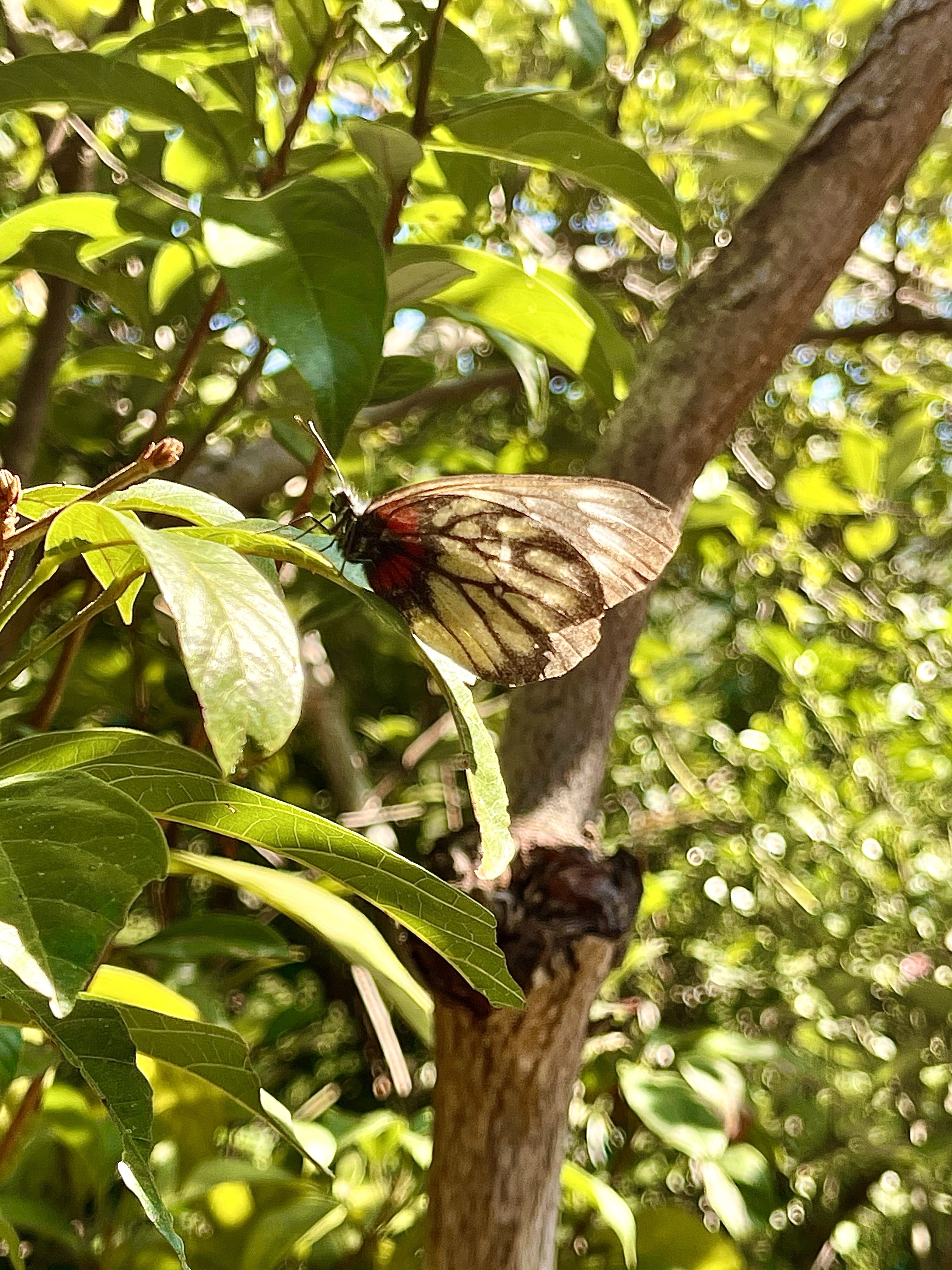 Hong Kong Hiking Lover