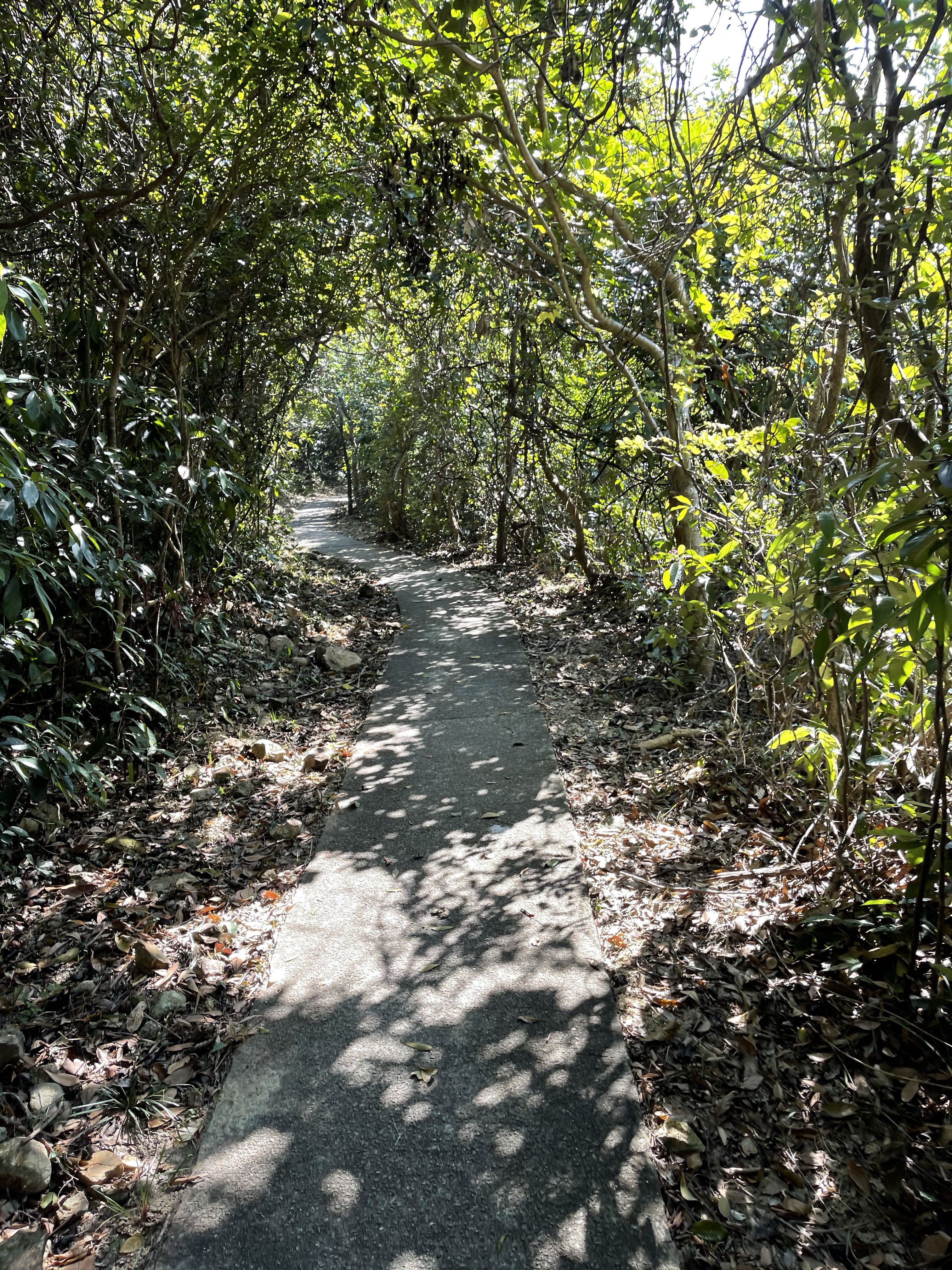 Hong Kong Hiking Lover