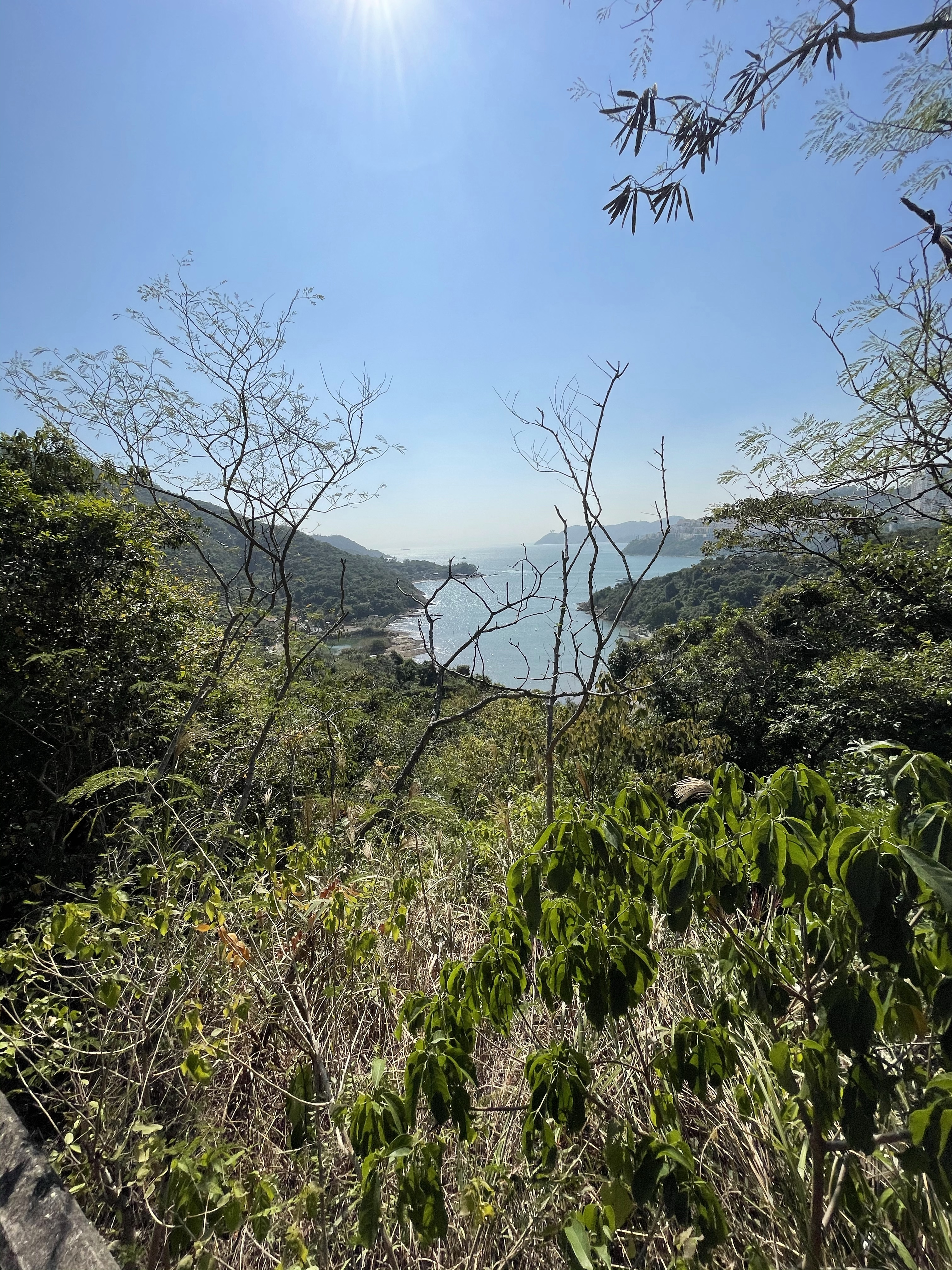 Hong Kong Hiking Lover
