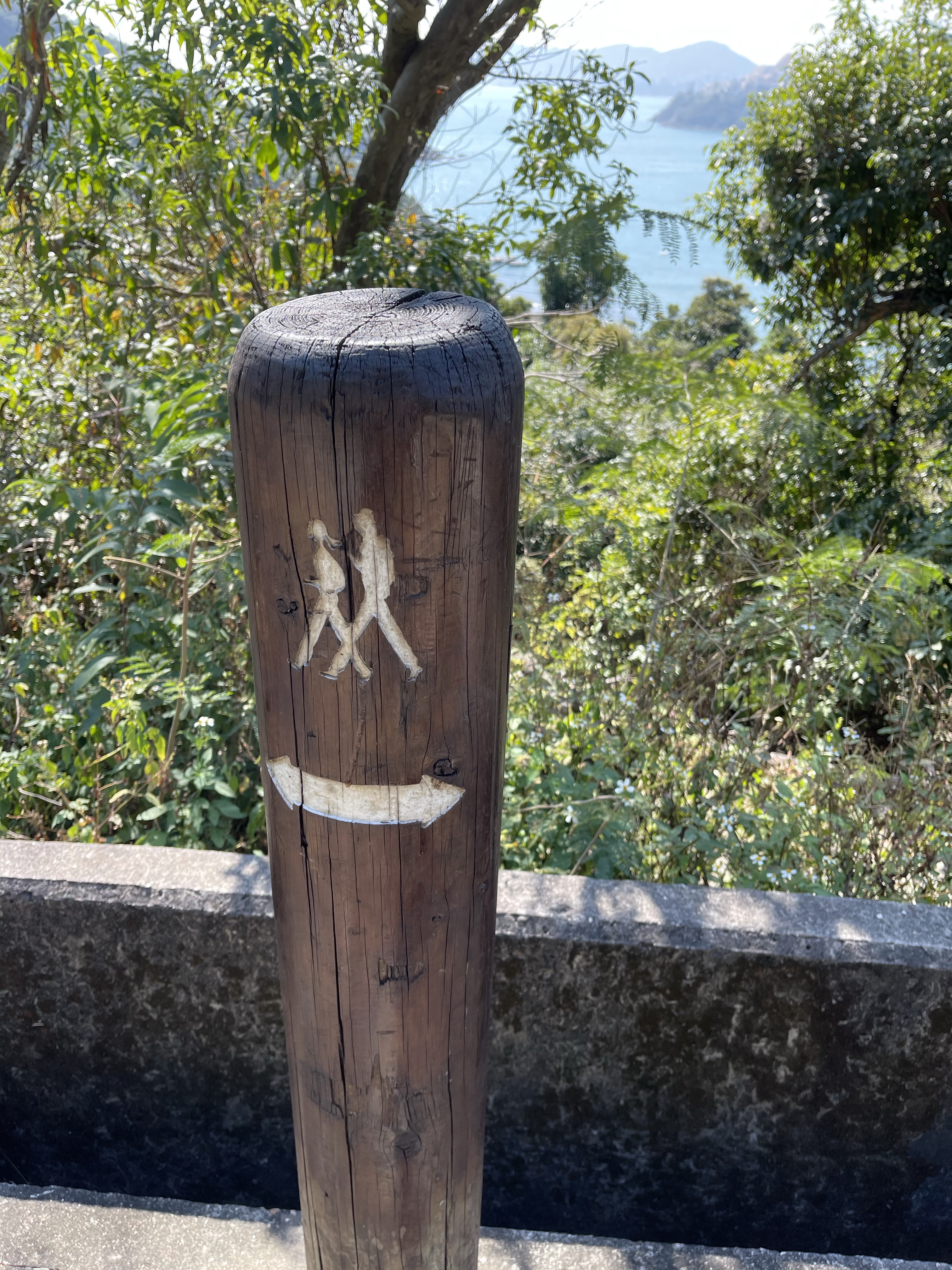 Hong Kong Hiking Lover