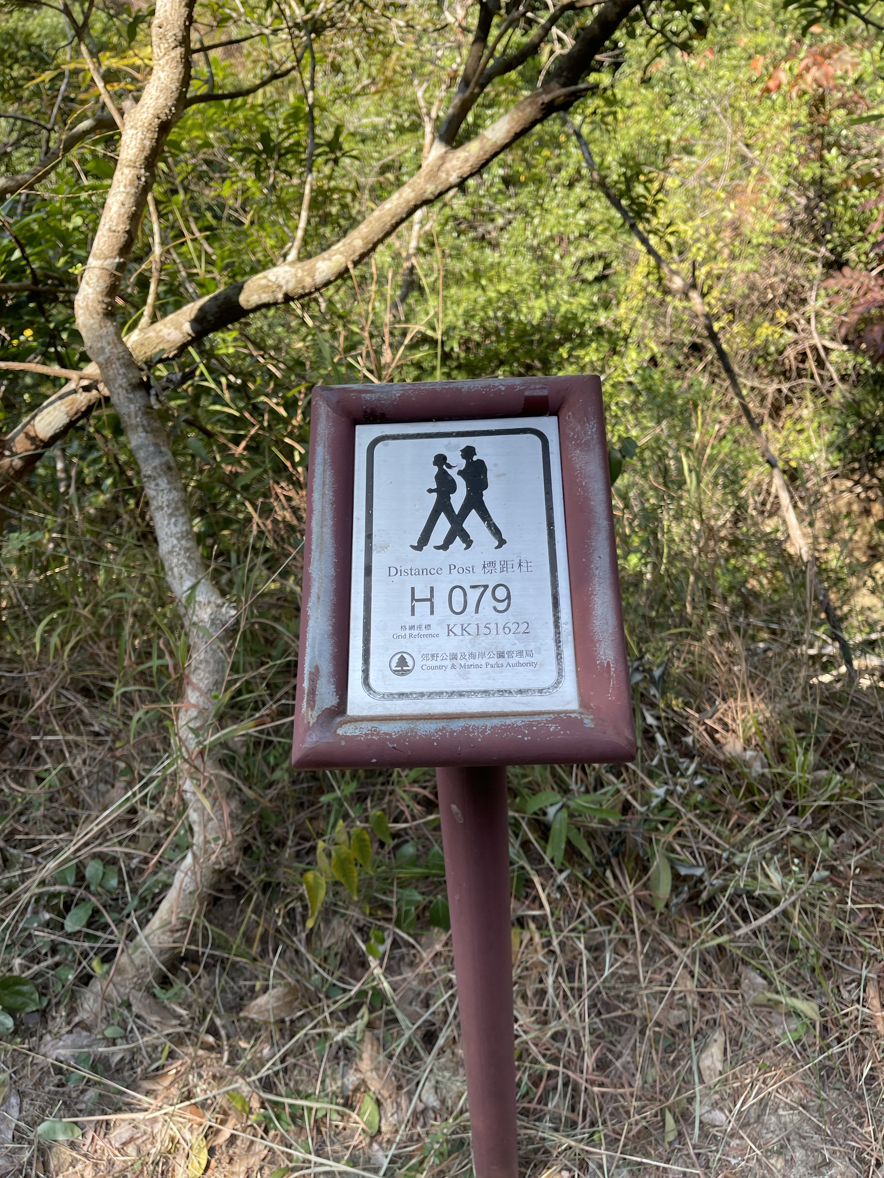 Hong Kong Hiking Lover