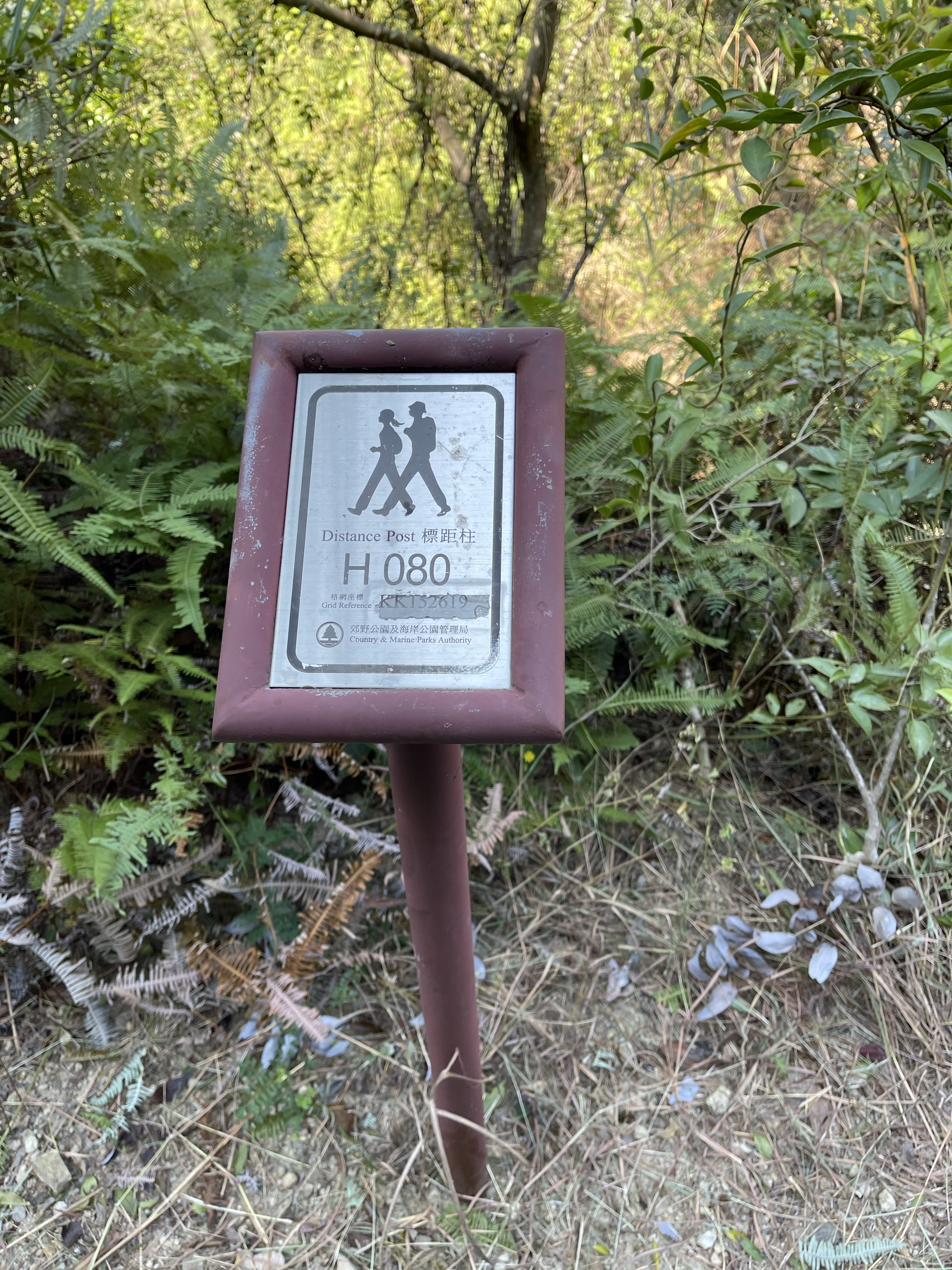 Hong Kong Hiking Lover