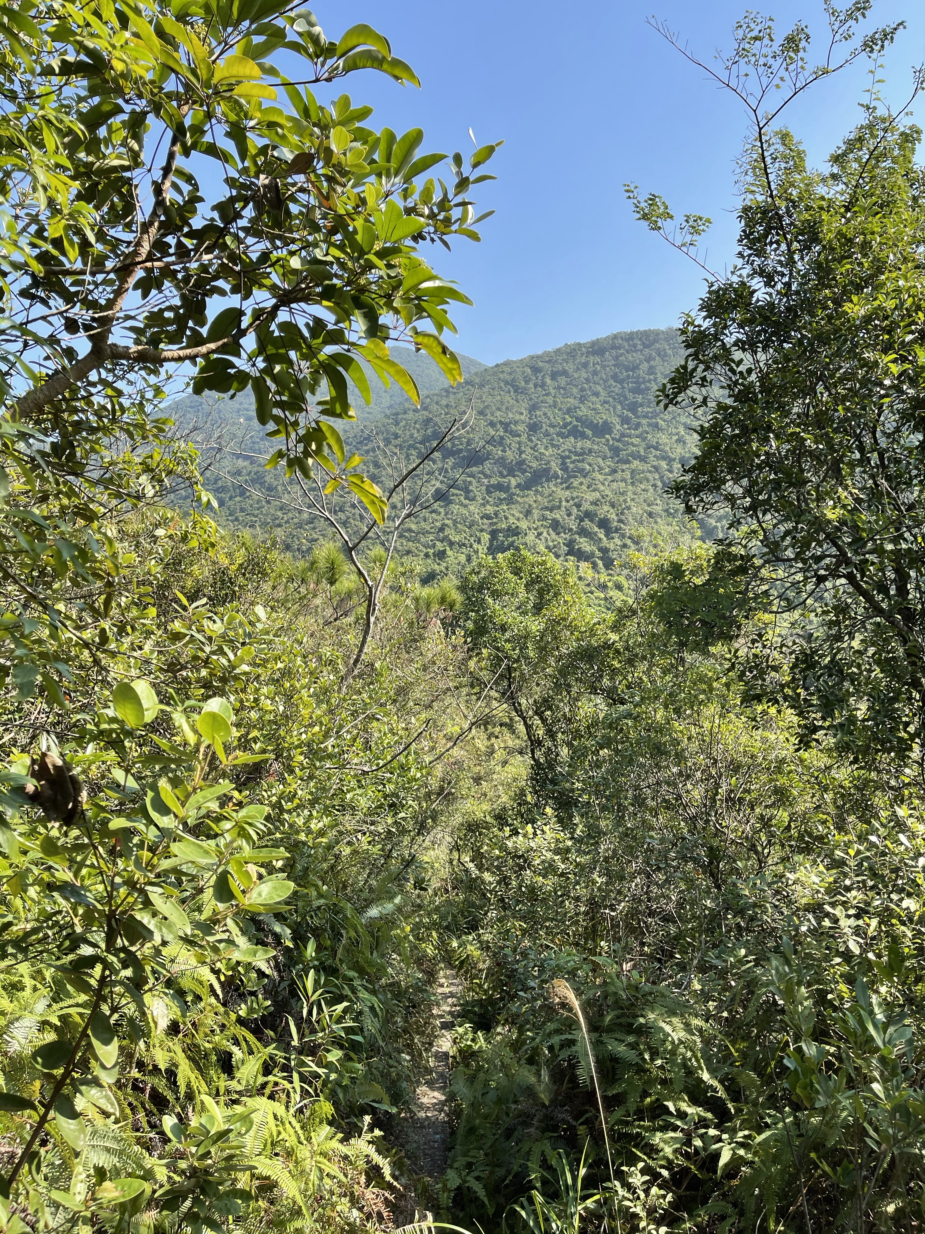Hong Kong Hiking Lover