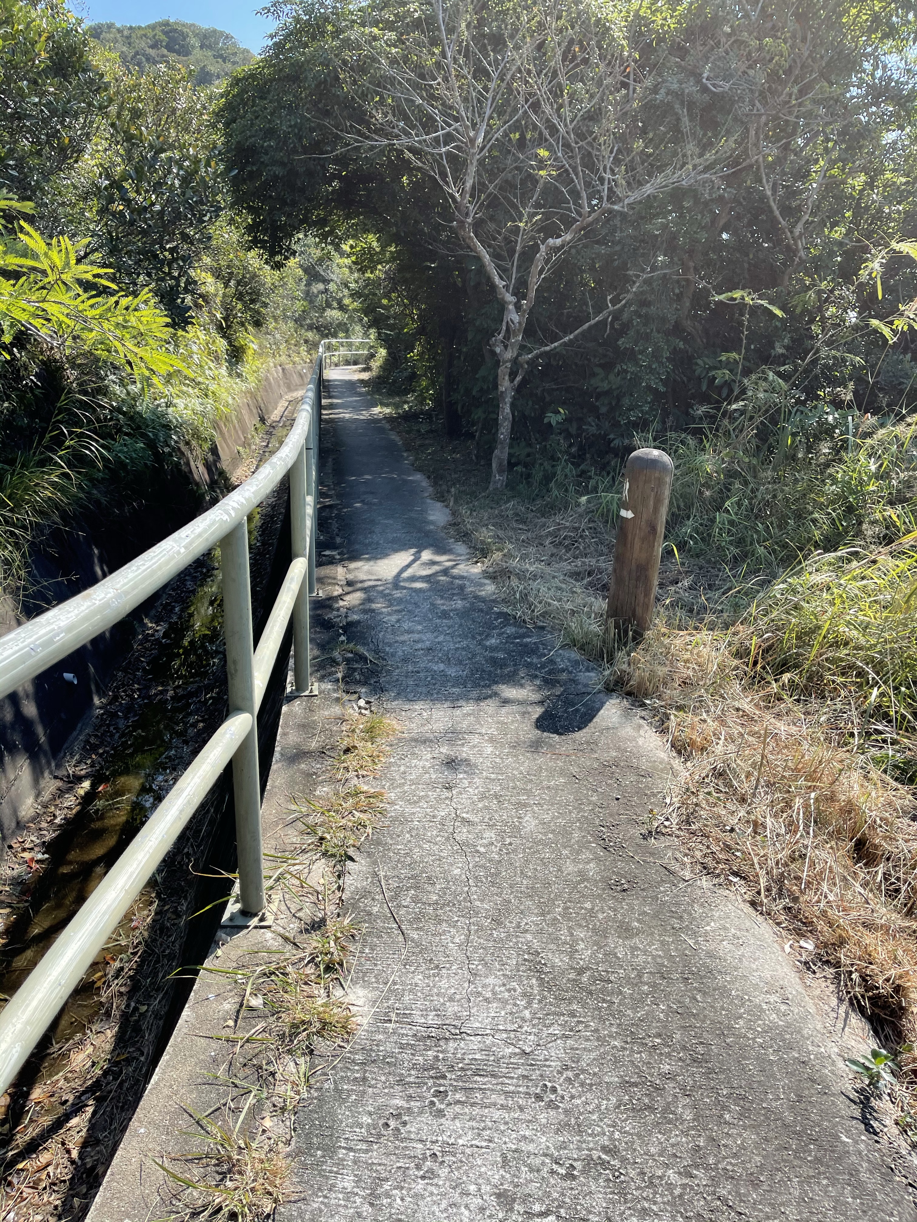 Hong Kong Hiking Lover