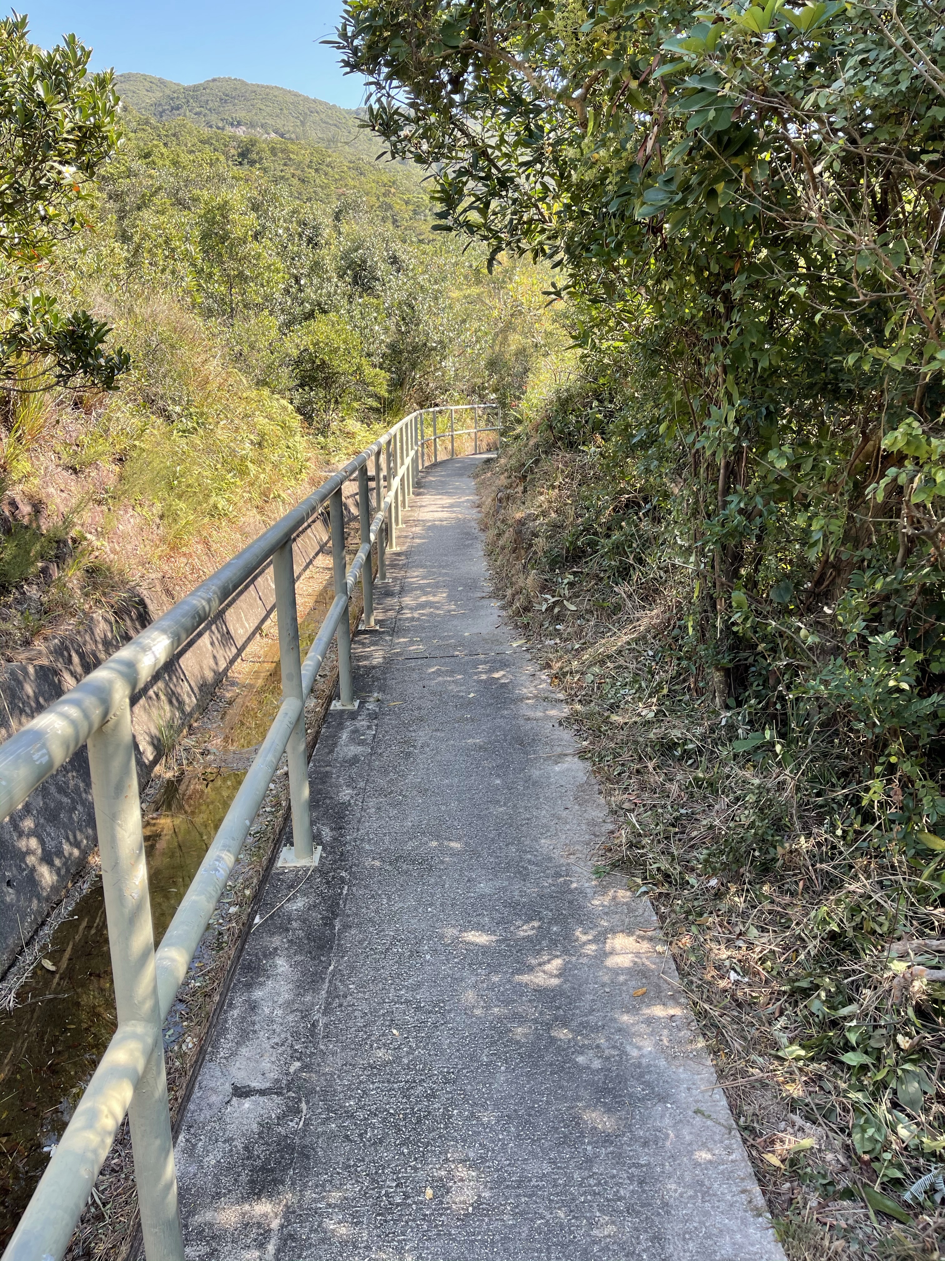 Hong Kong Hiking Lover