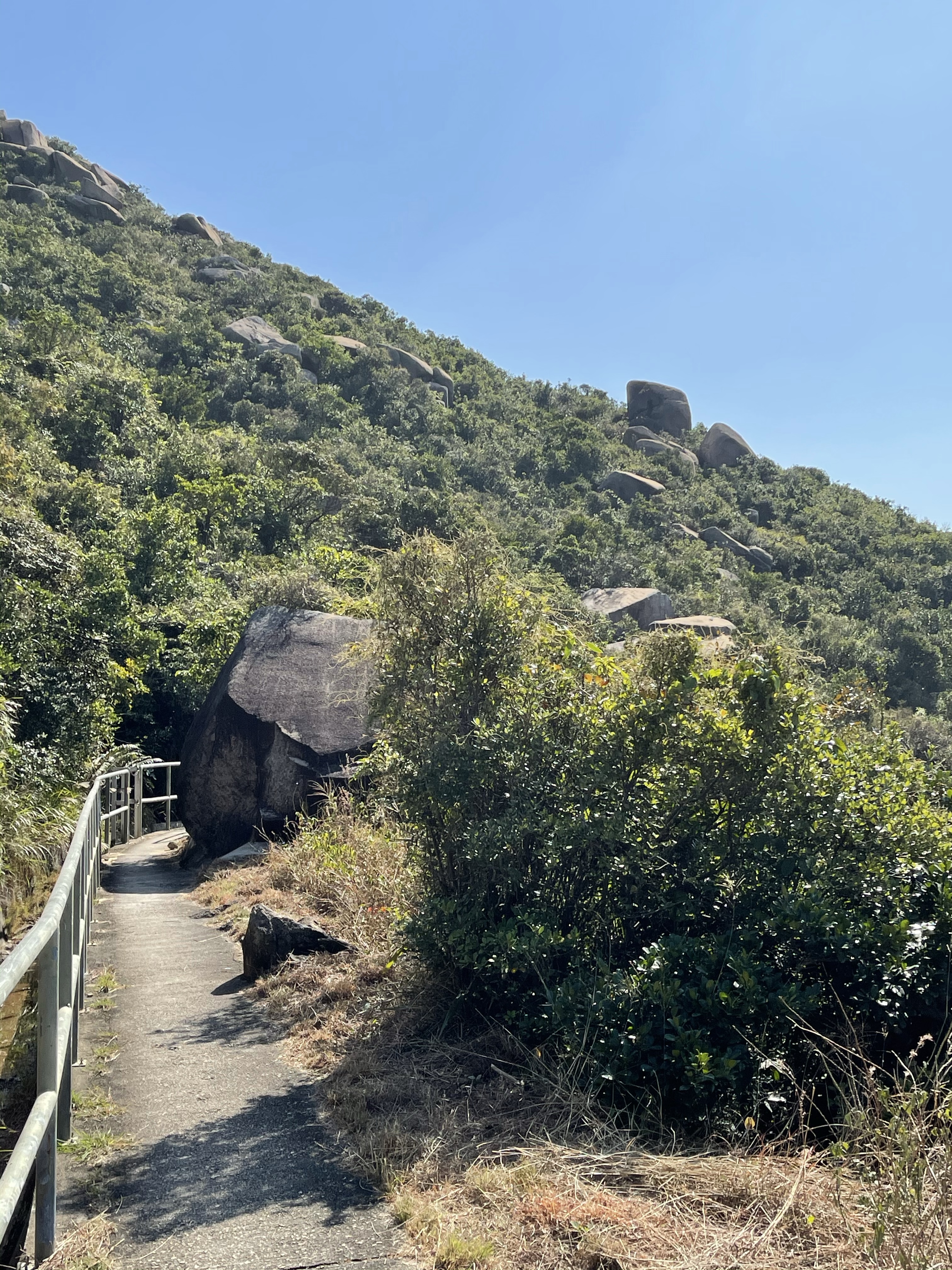 Hong Kong Hiking Lover