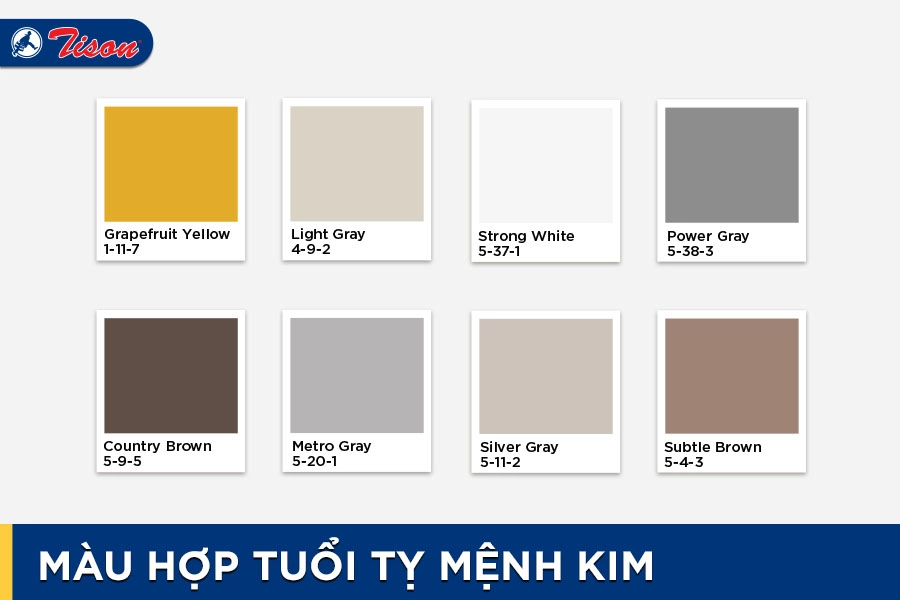 Màu hợp tuổi Tỵ mệnh Kim năm 2023