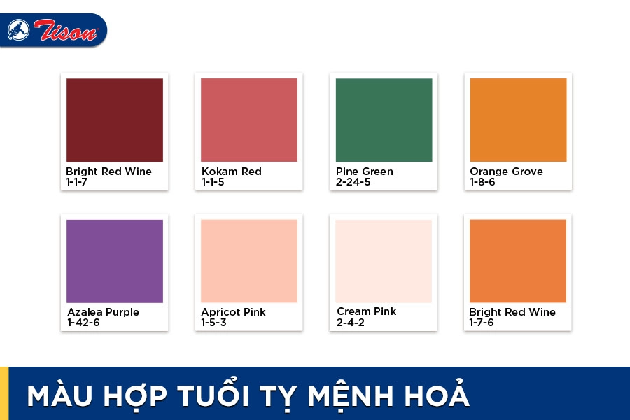 Màu hợp tuổi Tỵ mệnh Hỏa năm 2023
