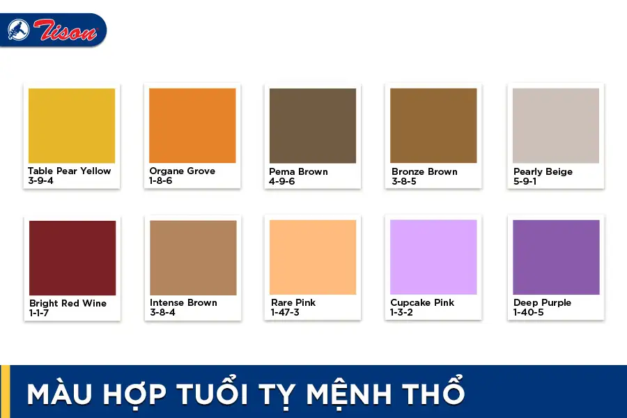 Màu hợp tuổi Tỵ mệnh Thổ năm 2023