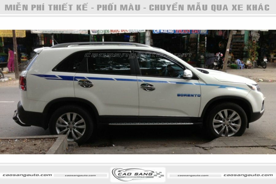 【100+】Mẫu tem xe 7 chỗ đẹp nhất, thiết kế miễn phí theo ý khách
