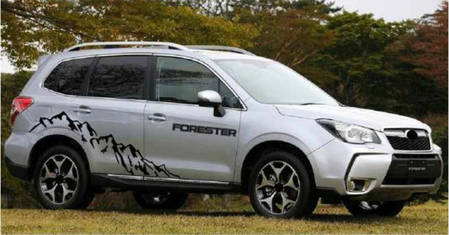 【100+】Mẫu tem xe 7 chỗ đẹp nhất, thiết kế miễn phí theo ý khách