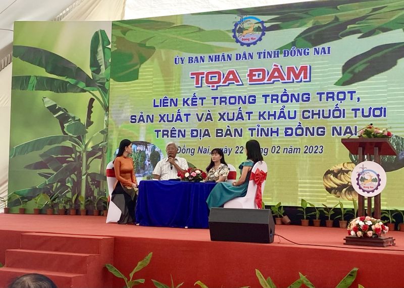 Toạ đàm liên kết trồng trọt, sản xuất và xuất khẩu chuối tươi