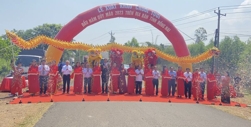 Cắt băng Lễ Xuất khẩu chuối tươi đầu năm Quý Mão năm 2023