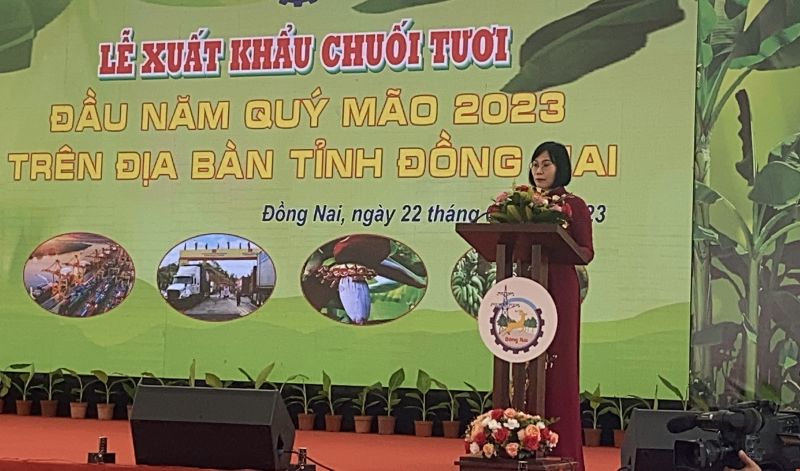 Phó Chủ tịch UBND tỉnh phát biểu tại buổi lễ