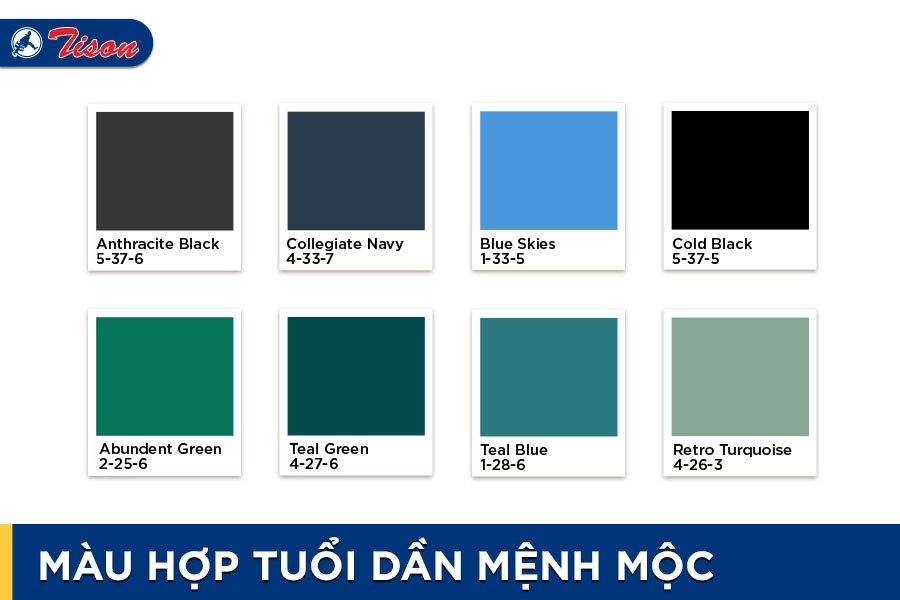 Màu hợp tuổi Dần mệnh Mộc năm 2023