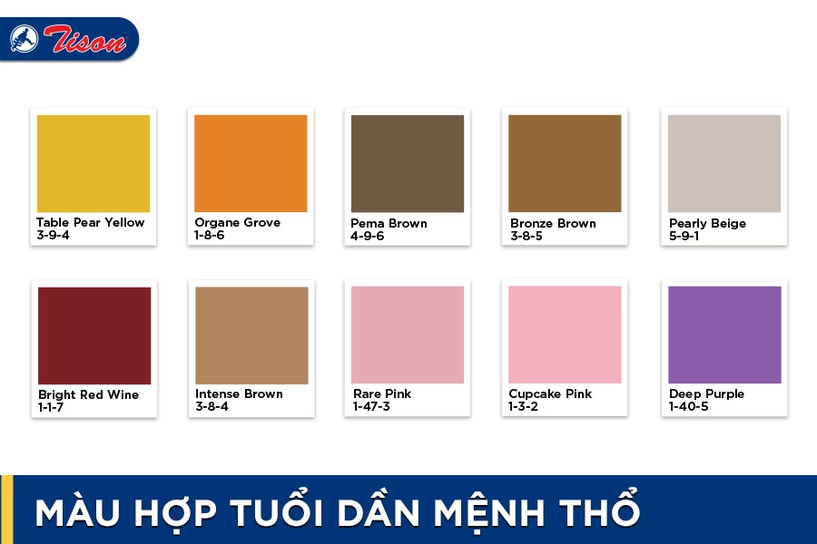 Màu hợp tuổi Dần mệnh Thổ năm 2023