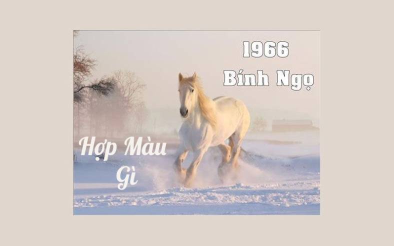 Bính Ngọ 1966