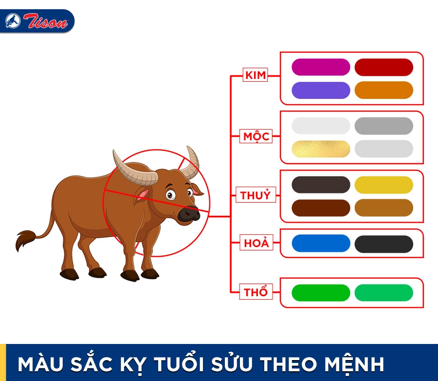 Màu kỵ tuổi Sửu theo mệnh năm 2023