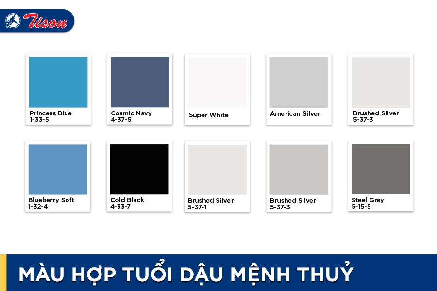 Màu hợp tuổi Dậu mệnh Thủy năm 2023