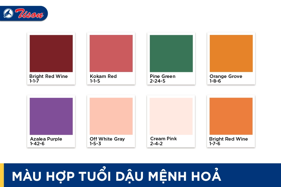 Màu hợp tuổi Dậu mệnh Hỏa năm 2023