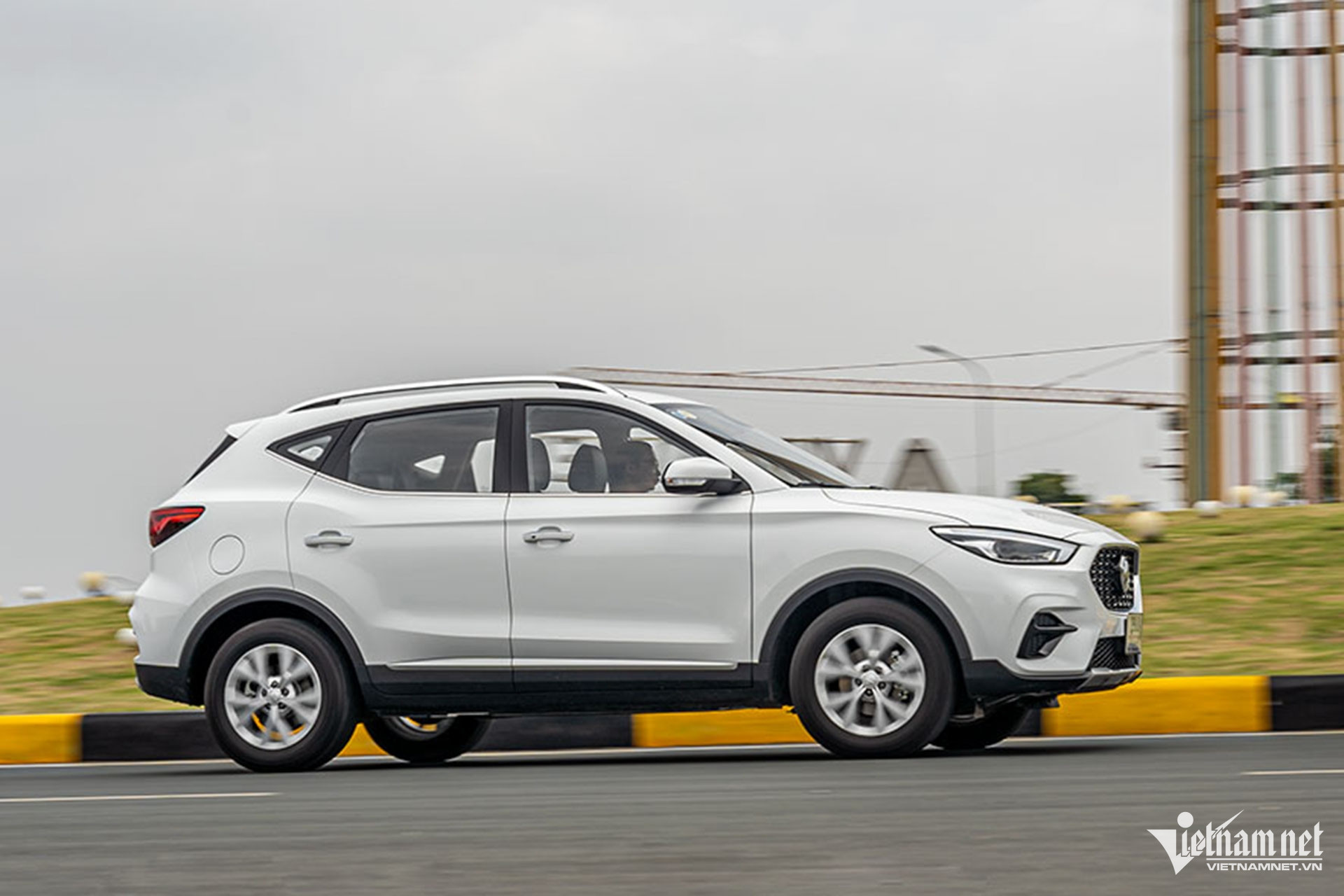 W-mg zs std 1.jpg
