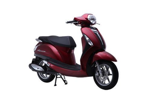 Nozza Grande bản Bordeaux Red