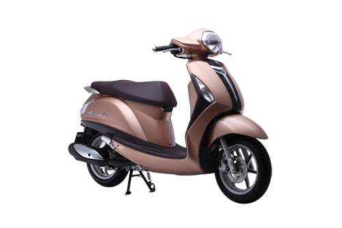 Nozza Grande bản Louvre Brown